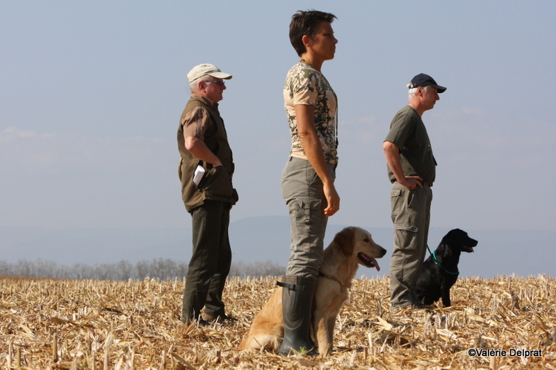 Field Erstein 09 (164).JPG